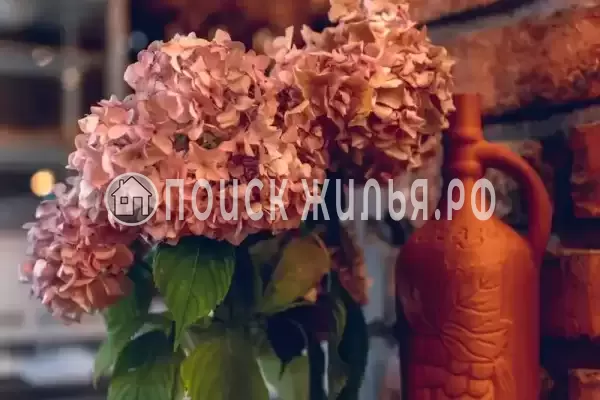 Гостиница «Глория», Республика Абхазия, Гагры, Пицунда, п. Лдзаа, д.улНозадзе