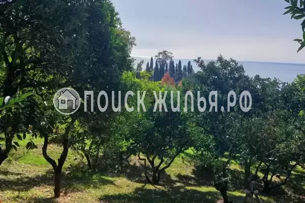 Гостевой дом «Анюта», Гудаута