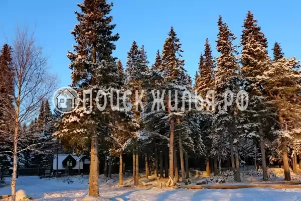 Отель «Cedar Grass Белое Море», Умба