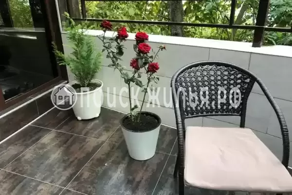 «Султан», Ольгинка «Султан», Ольгинка