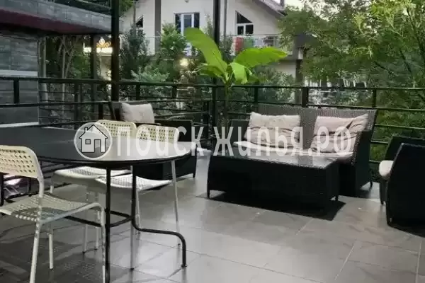 «Султан», Ольгинка «Султан», Ольгинка