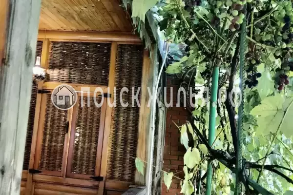 Частный сектор «Дом отдыха Виноградный», Сочи