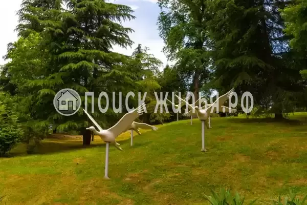 пер. Севастопольский, д.1Б, Сочи