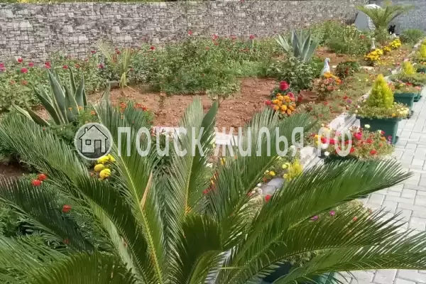 Гостевой дом «У Сюзанны», Цандрипш