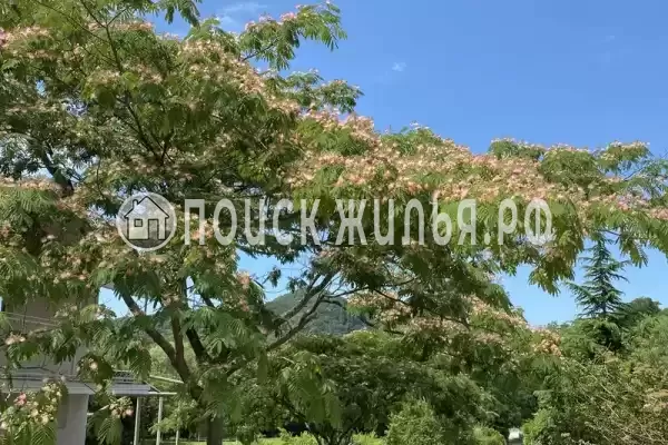 Мкр Незабудка-1, д.84А, Ольгинка