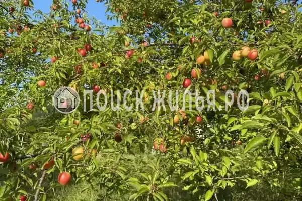 Мкр Незабудка-1, д.84А, Ольгинка