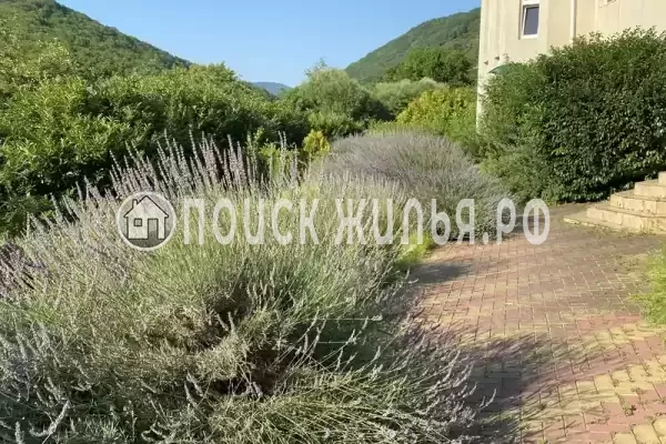 Мкр Незабудка-1, д.84А, Ольгинка