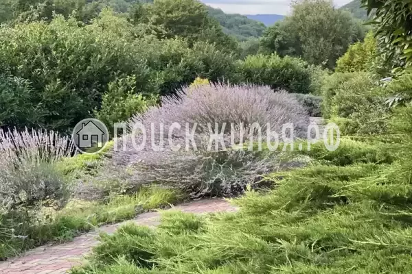 Мкр Незабудка-1, д.84А, Ольгинка