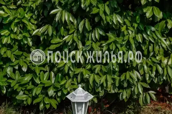 Мкр Незабудка-1, д.84А, Ольгинка