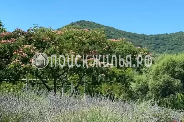 Мкр Незабудка-1, д.84А, Ольгинка