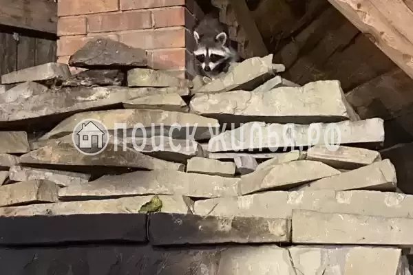 Мкр Незабудка-1, д.84А, Ольгинка