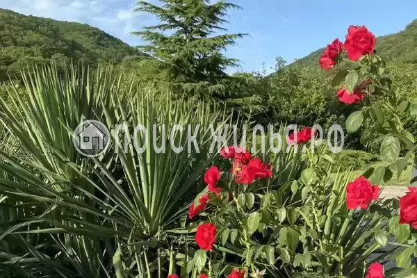 Мкр Незабудка-1, д.84А, Ольгинка