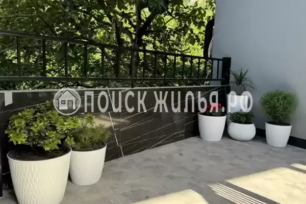 Гостевой дом, С Хашупсэ Хашупсинская, Цандрипш