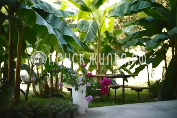 Гостевой дом, С Хашупсэ Хашупсинская, Цандрипш