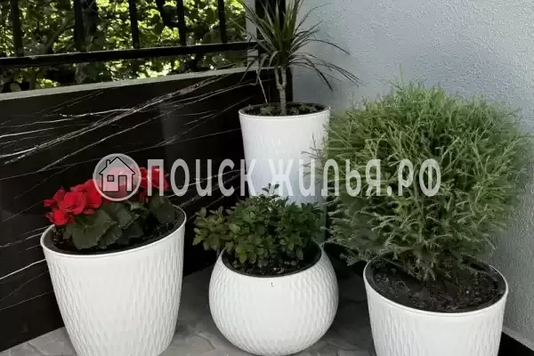 Гостевой дом, С Хашупсэ Хашупсинская, Цандрипш