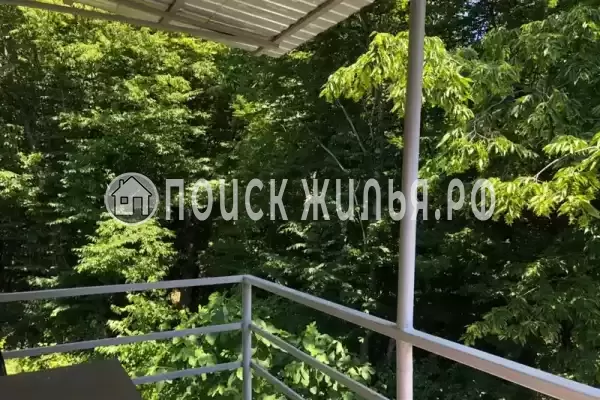 Частный сектор «Шамс», Ольгинка