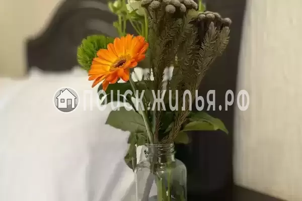 «Амар», Лазаревское