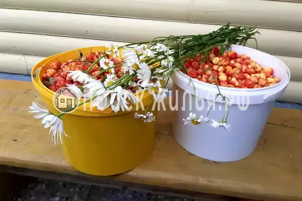 Отель «Сегежа», Сегежа