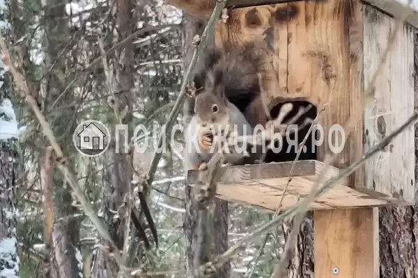 Отель «Сегежа», Сегежа