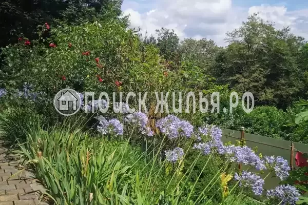 Частный сектор «Дом в национальном парке», Сочи