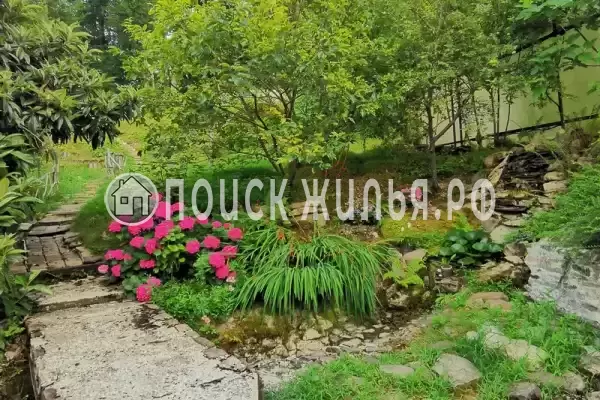 Частный сектор «Дом в национальном парке», Сочи