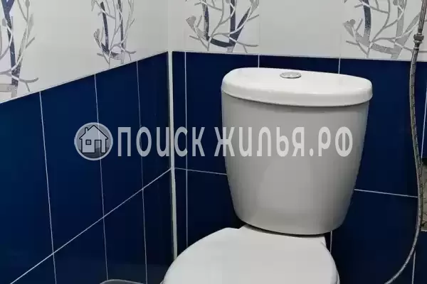 «На Гусь-Хрустальный», Лоо