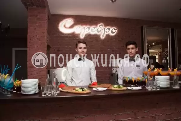 «Серебро», Ильиногорск