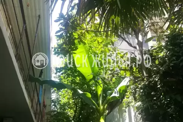 «У Натальи», Лазаревское