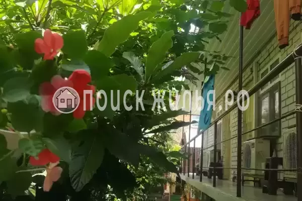 «У Натальи», Лазаревское