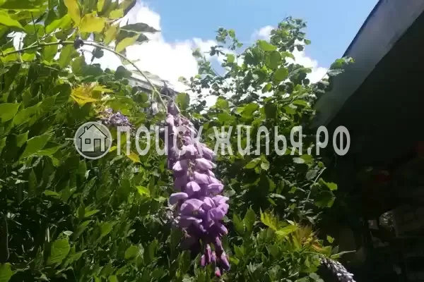 «У Натальи», Лазаревское