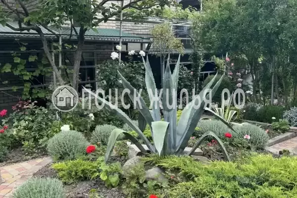 «На Вильямса», Геленджик «На Вильямса», Геленджик