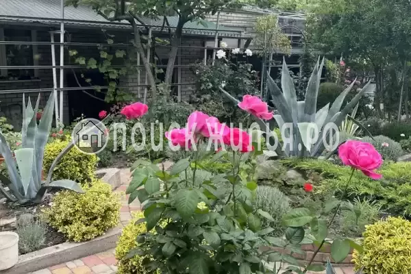 «На Вильямса», Геленджик «На Вильямса», Геленджик