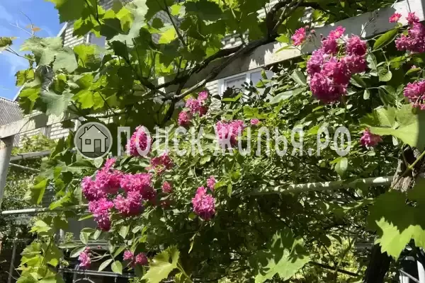 «На Вильямса», Геленджик «На Вильямса», Геленджик