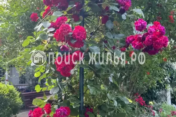 «На Вильямса», Геленджик «На Вильямса», Геленджик