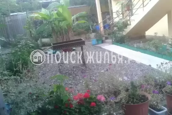 «Лоо-Амелия», Лоо