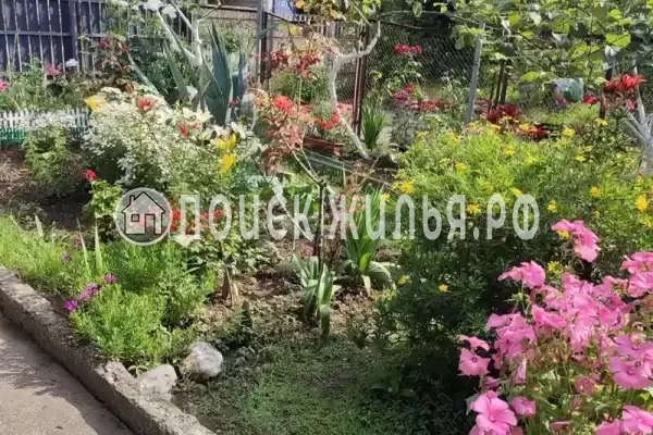 Гостевой дом «Ева», Гагра