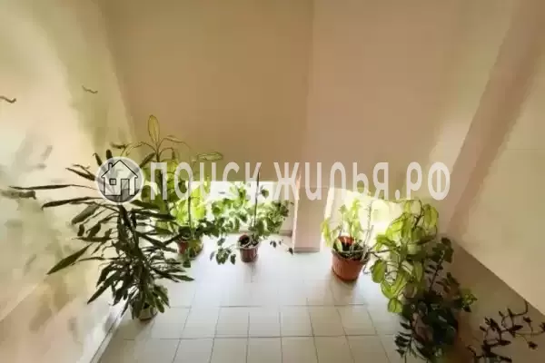 «Мирный», Лазаревское