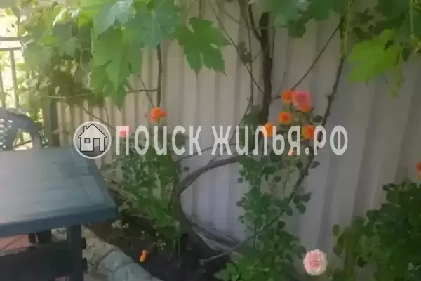 «Мирный», Лазаревское