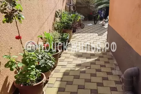 «Морской прибой», Адлер