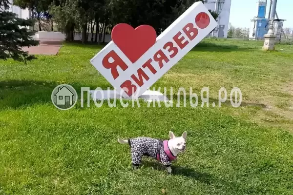 Частный сектор «У АрсиКа», Витязево