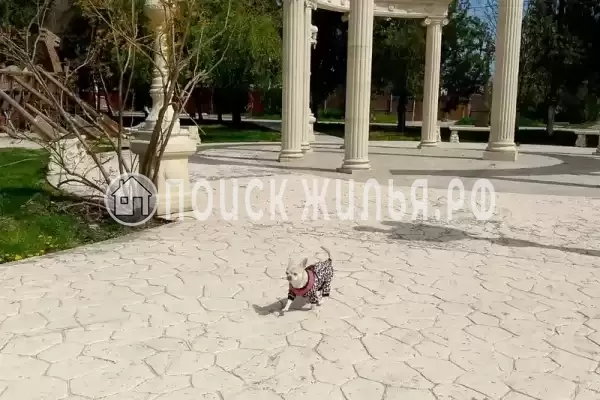 Частный сектор «У АрсиКа», Витязево