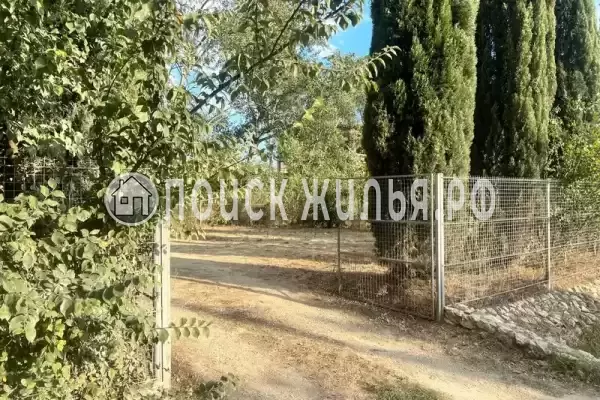 «Баттерфляй», Судак