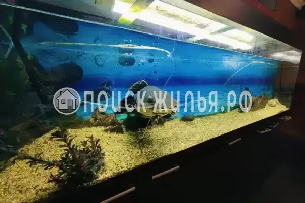 «Семья», Анапа