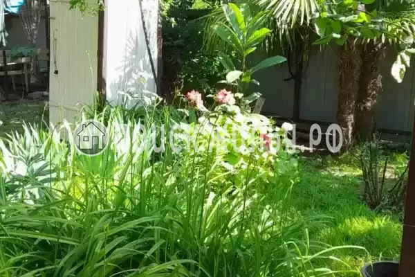 «У Натали», Головинка