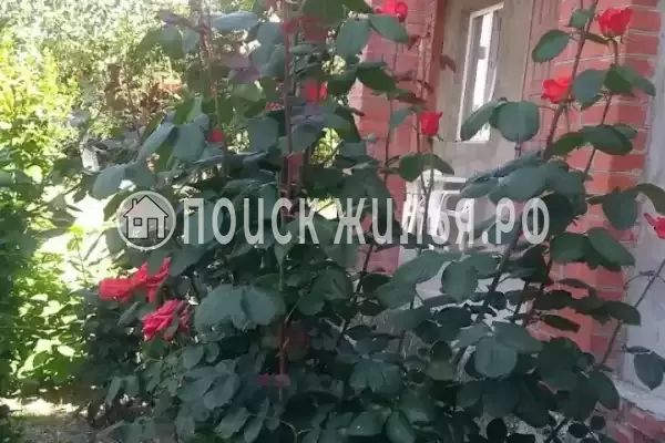 Частный сектор «Коттедж Сияние», Кабардинка