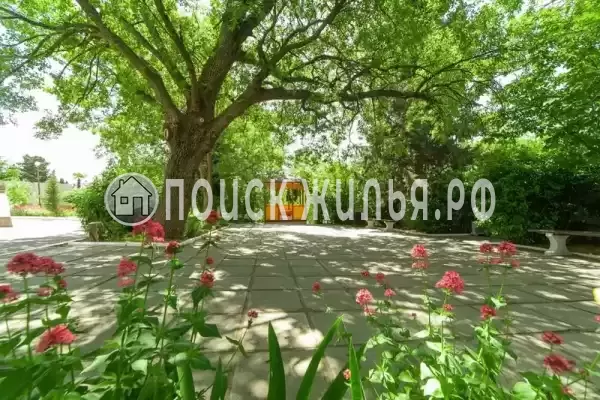 «А. П. Чехов», Ялта