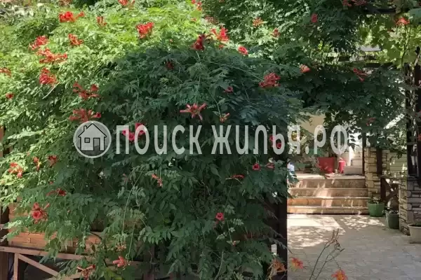 «Горный воздух», Большой Утриш