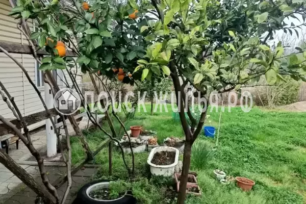 Гостевой дом «Цандрипш», Цандрипш