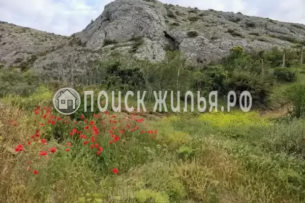 «Eco botanica», Судак «Eco botanica», Судак