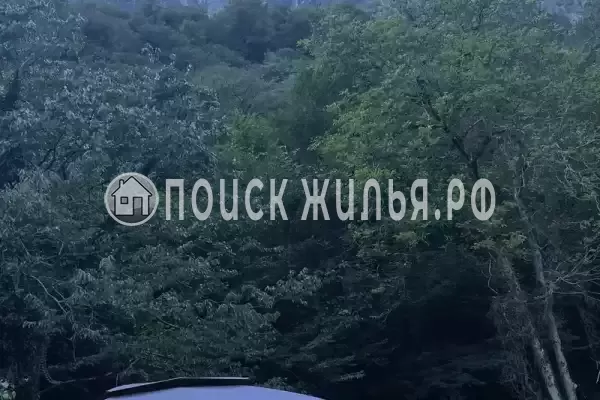 Гостевой дом «В уютном месте», Гагра